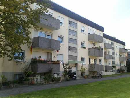 Single wohnung bergheim